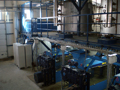 Oil seed processing
